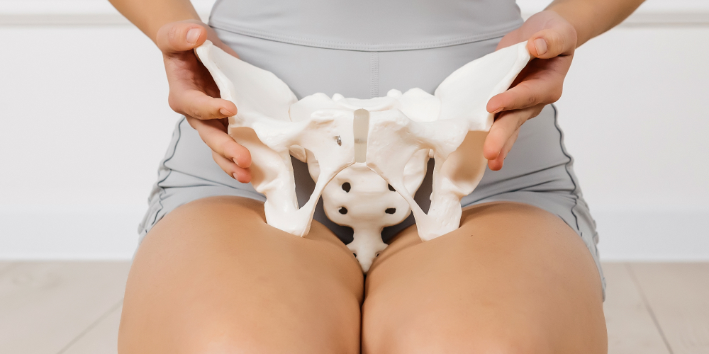 Kobieta trzyma w dłoniach model miednicy